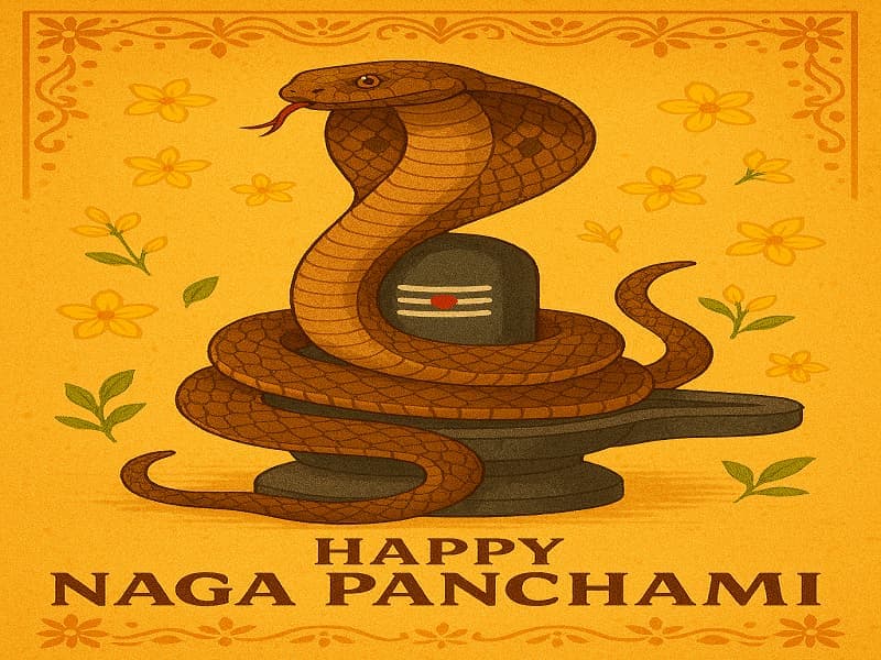 Naga chavithi