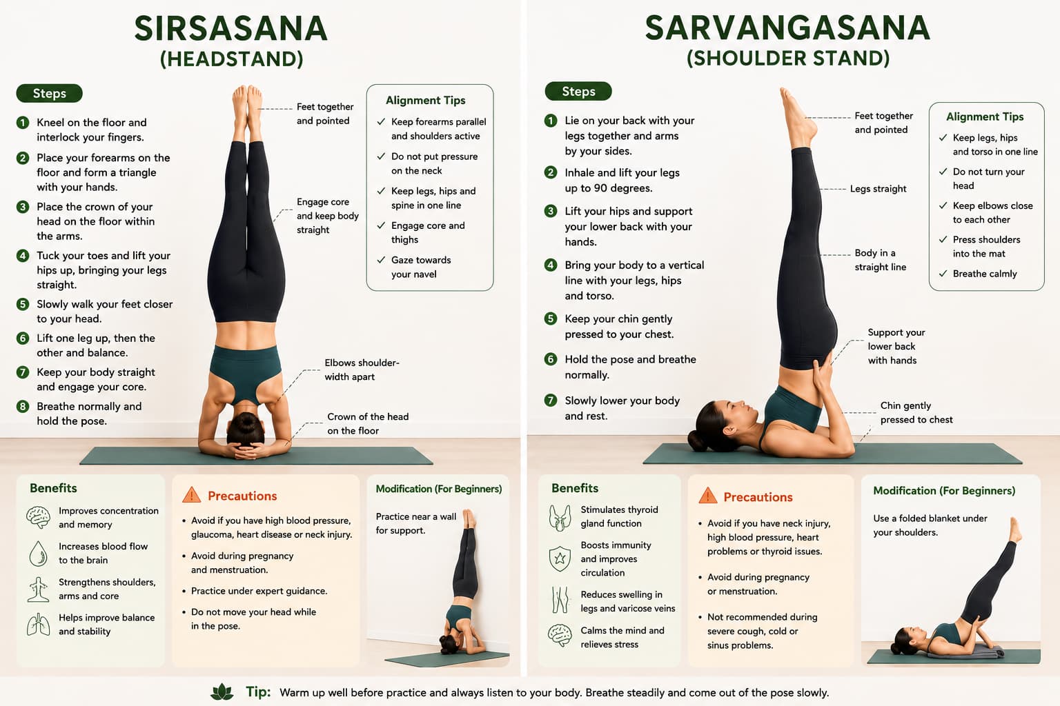 Sirsasana headstand and Sarvangasana shoulder stand infographic showing steps, alignment tips, benefits and precautions